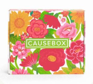 CauseBox Subscription Box Deal