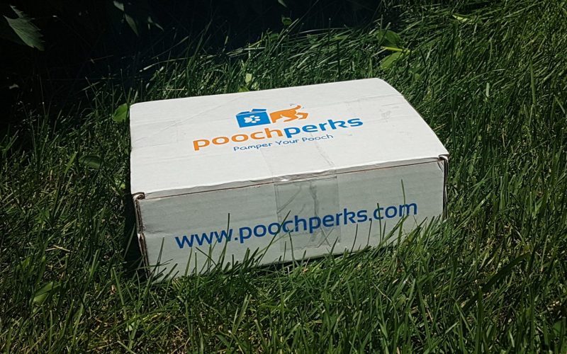 Pooch Perks Dog Subscription Box